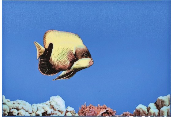 ПОМоно Fish синяя 275*400 мм.	